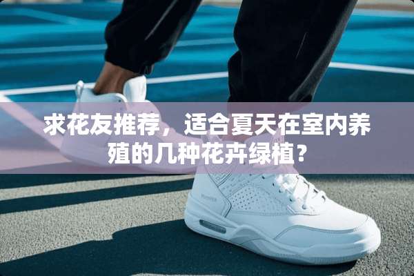求花友推荐，适合夏天在室内养殖的几种花卉绿植？