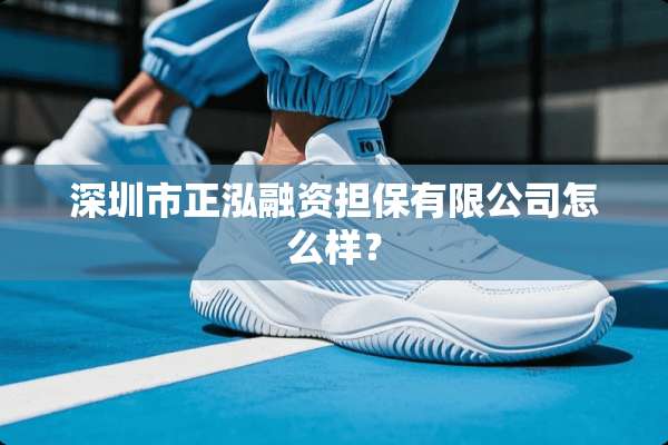 深圳市正泓融资担保有限公司怎么样？