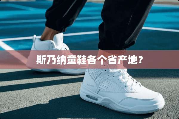 斯乃纳童鞋各个省产地？