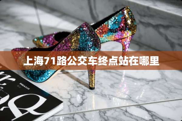 上海71路公交车终点站在哪里