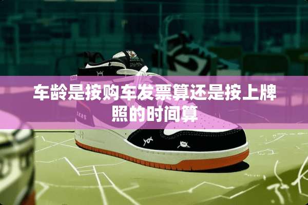 车龄是按购车**算还是按上牌照的时间算