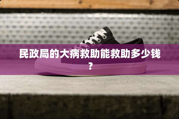 民政局的大病救助能救助多少钱？