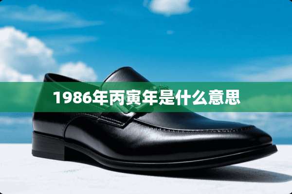 1986年丙寅年是什么意思