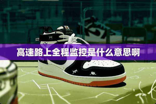 高速路上全程监控是什么意思啊