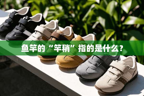 鱼竿的“竿稍”指的是什么？