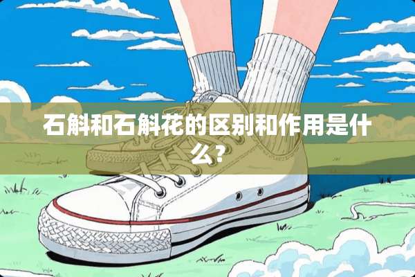 石斛和石斛花的区别和作用是什么？
