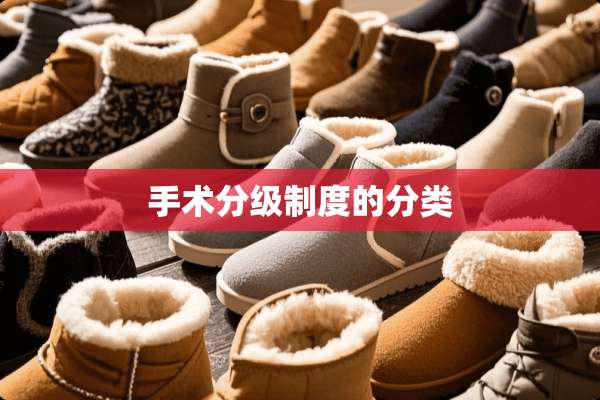 手术分级制度的分类