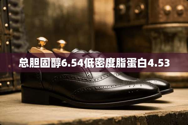总胆固醇6.54低密度脂蛋白4.53