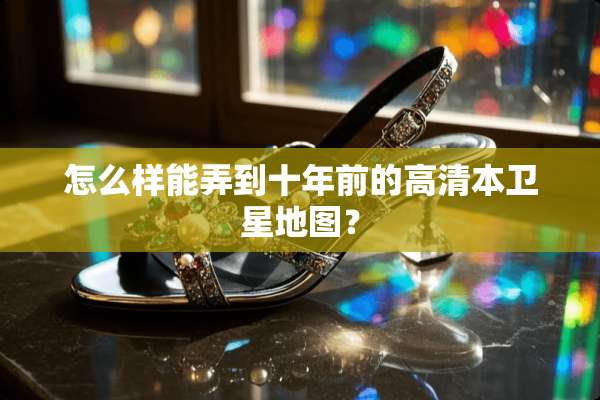 怎么样能弄到十年前的高清本卫星地图？