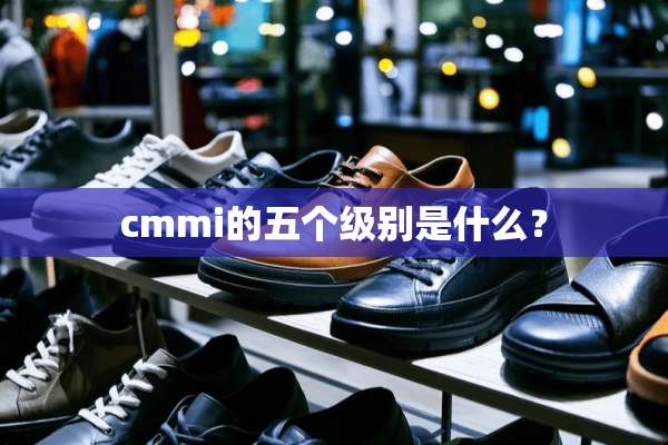 cmmi的五个级别是什么？