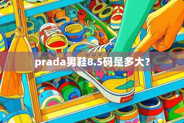 prada男鞋8.5码是多大？