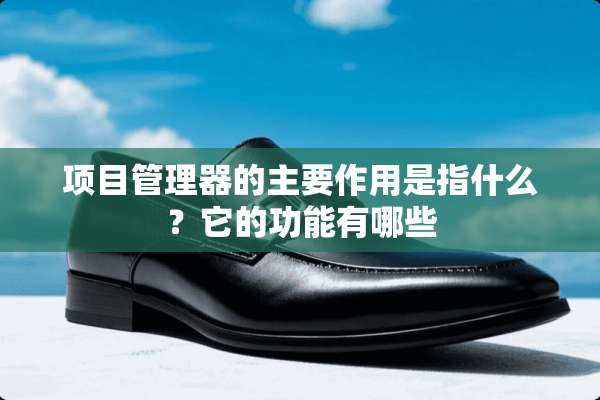 项目管理器的主要作用是指什么？它的功能有哪些