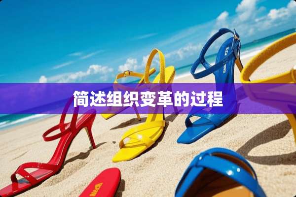 简述组织变革的过程