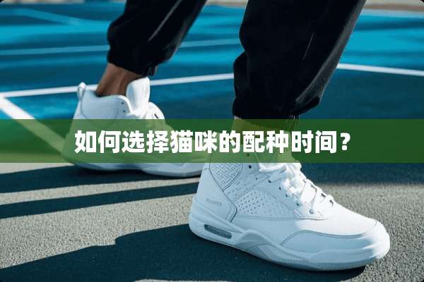 如何选择猫咪的配种时间？
