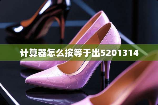 计算器怎么按等于出5201314