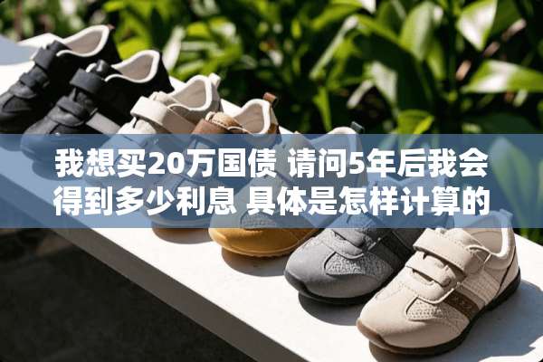 我想买20万国债 请问5年后我会得到多少利息 具体是怎样计算的 详细些
