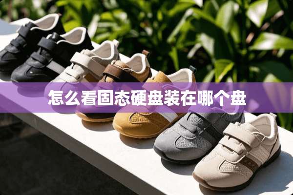 怎么看固态硬盘装在哪个盘