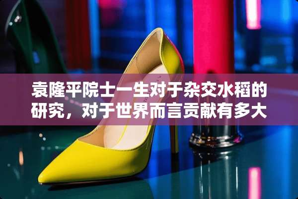 袁隆平院士一生对于杂交水稻的研究，对于世界而言贡献有多大？
