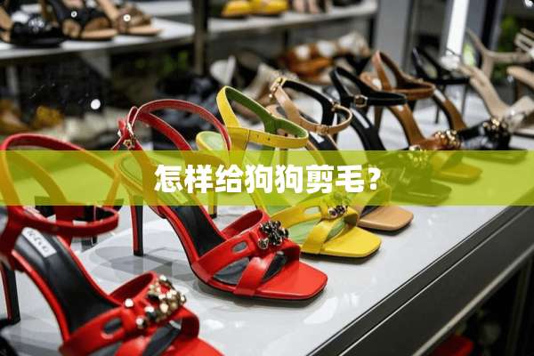 怎样给狗狗剪毛？