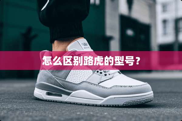 怎么区别路虎的型号？