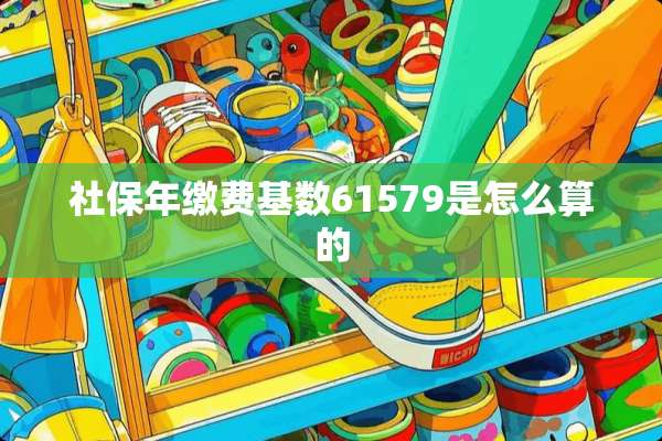 社保年缴费基数61579是怎么算的