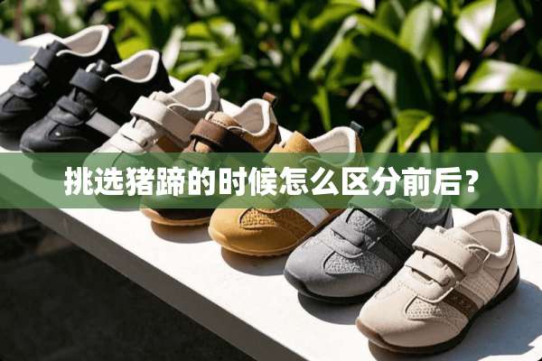挑选猪蹄的时候怎么区分前后？