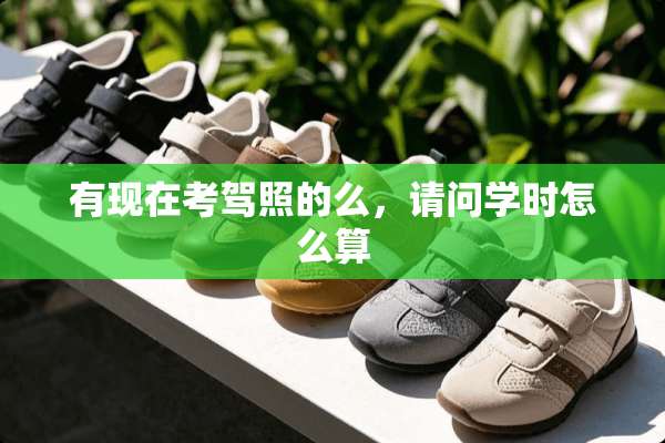 有现在考驾照的么，请问学时怎么算