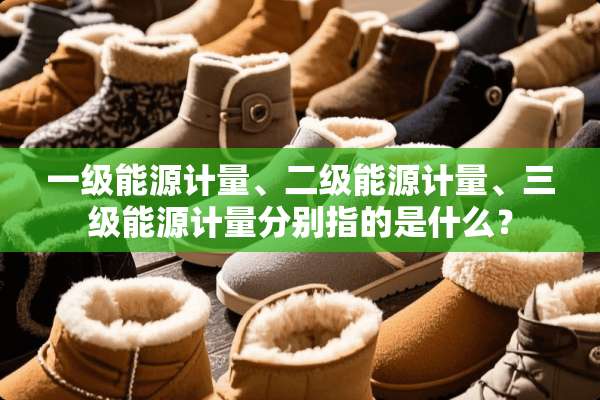 一级能源计量、二级能源计量、**能源计量分别指的是什么？