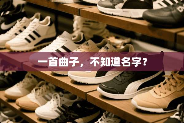 一首曲子，不知道名字？