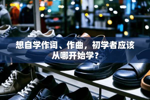 想自学作词、作曲，初学者应该从哪开始学？