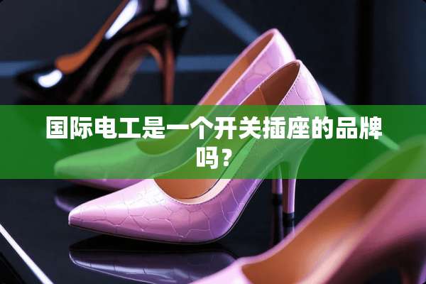 国际电工是一个开关插座的品牌吗？