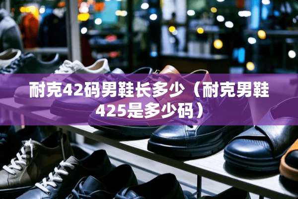 耐克42码男鞋长多少（耐克男鞋425是多少码）
