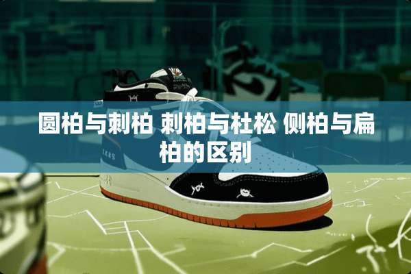 圆柏与刺柏 刺柏与杜松 侧柏与扁柏的区别
