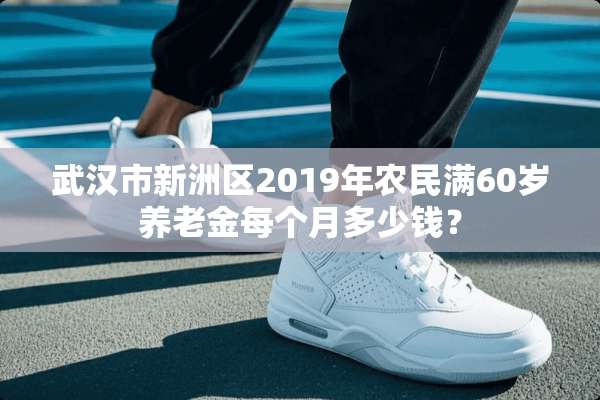 武汉市新洲区2019年农民满60岁养老金每个月多少钱？