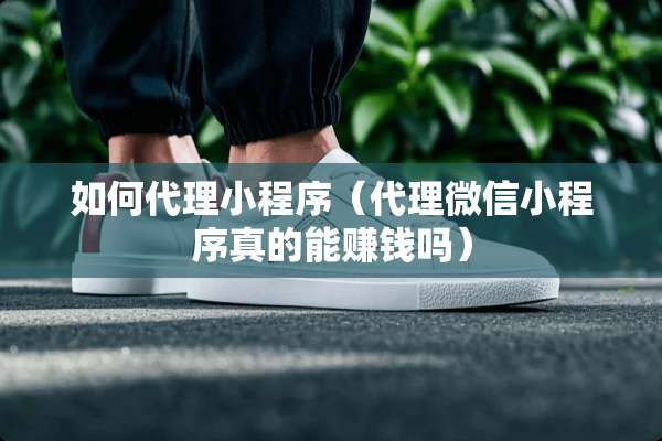 如何代理小程序（代理微信小程序真的能赚钱吗）