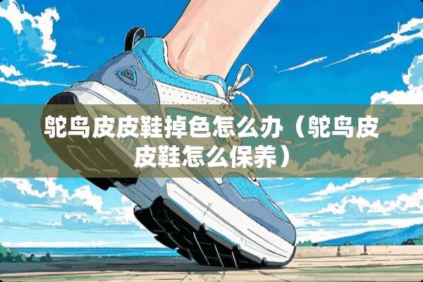 鸵鸟皮皮鞋掉色怎么办（鸵鸟皮皮鞋怎么保养）