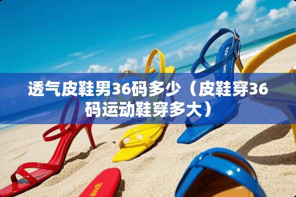 透气皮鞋男36码多少（皮鞋穿36码运动鞋穿多大）