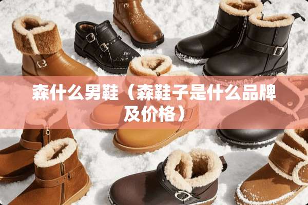 森什么男鞋（森鞋子是什么品牌及价格）