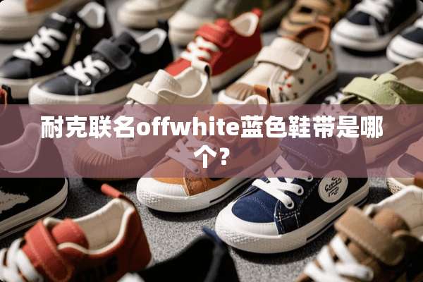耐克联名offwhite蓝色鞋带是哪个？