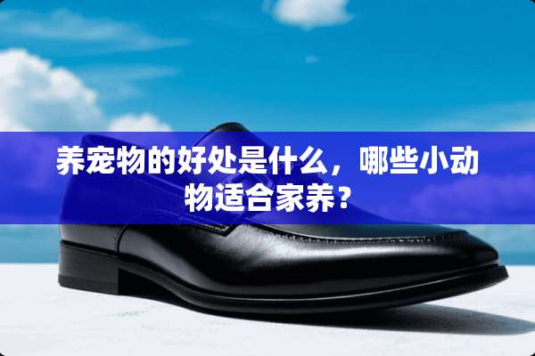养宠物的好处是什么，哪些小动物适合家养？