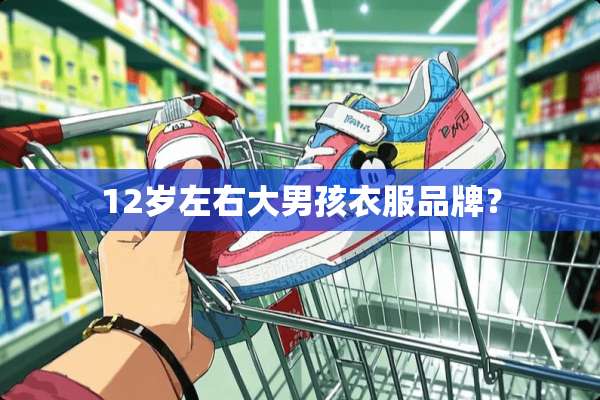 12岁左右大男孩衣服品牌？