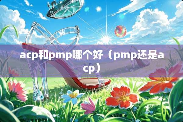 acp和pmp哪个好（pmp还是acp）