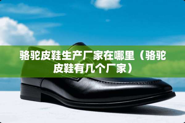 骆驼皮鞋生产厂家在哪里（骆驼皮鞋有几个厂家）