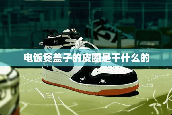 电饭煲盖子的皮圈是干什么的