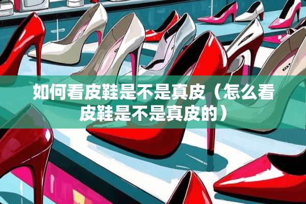 如何看皮鞋是不是真皮（怎么看皮鞋是不是真皮的）