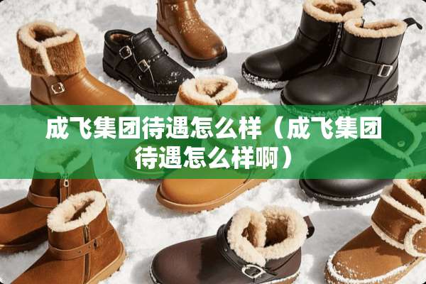 成飞集团待遇怎么样（成飞集团待遇怎么样啊）