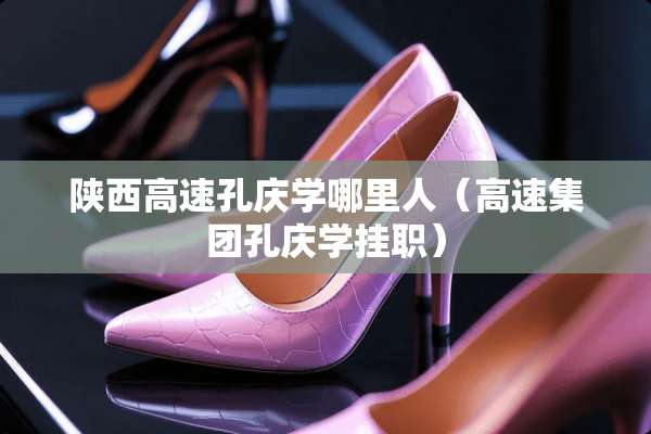 陕西高速孔庆学哪里人（高速集团孔庆学挂职）