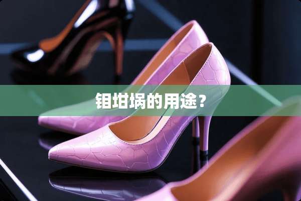 钼坩埚的用途？