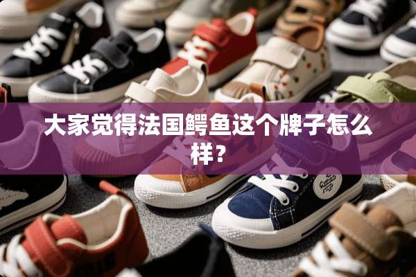 大家觉得法国鳄鱼这个牌子怎么样？