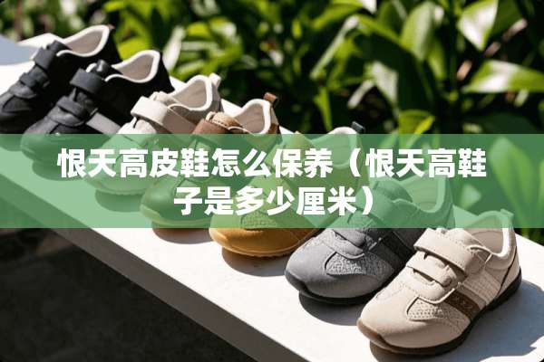 恨天高皮鞋怎么保养（恨天高鞋子是多少厘米）
